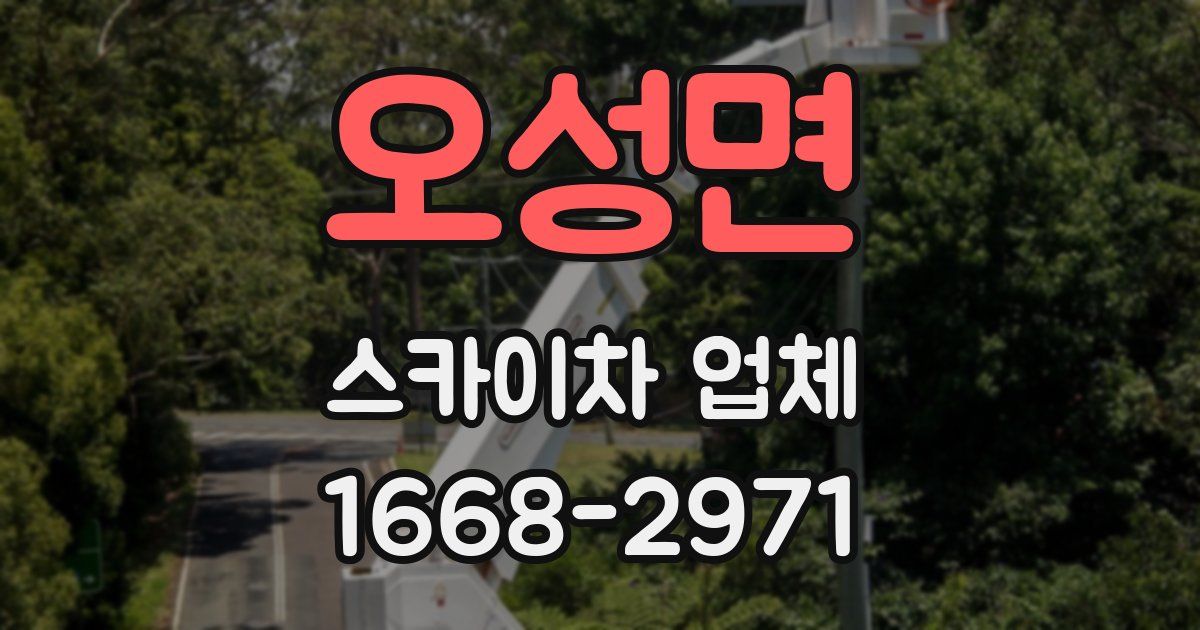 오성면 스카이차 업체