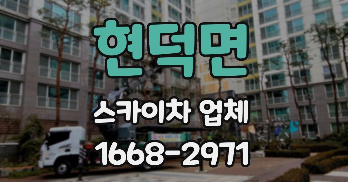 현덕면 스카이차 업체