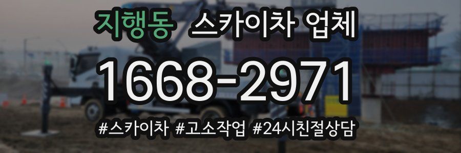 지행동 스카이차 업체