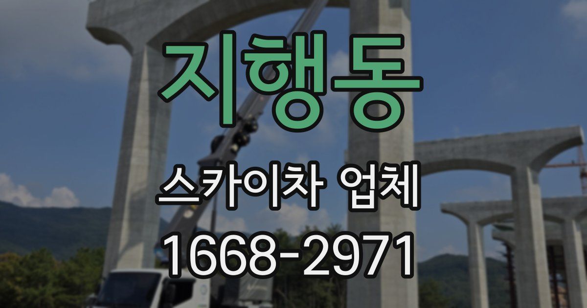 지행동 스카이차 업체