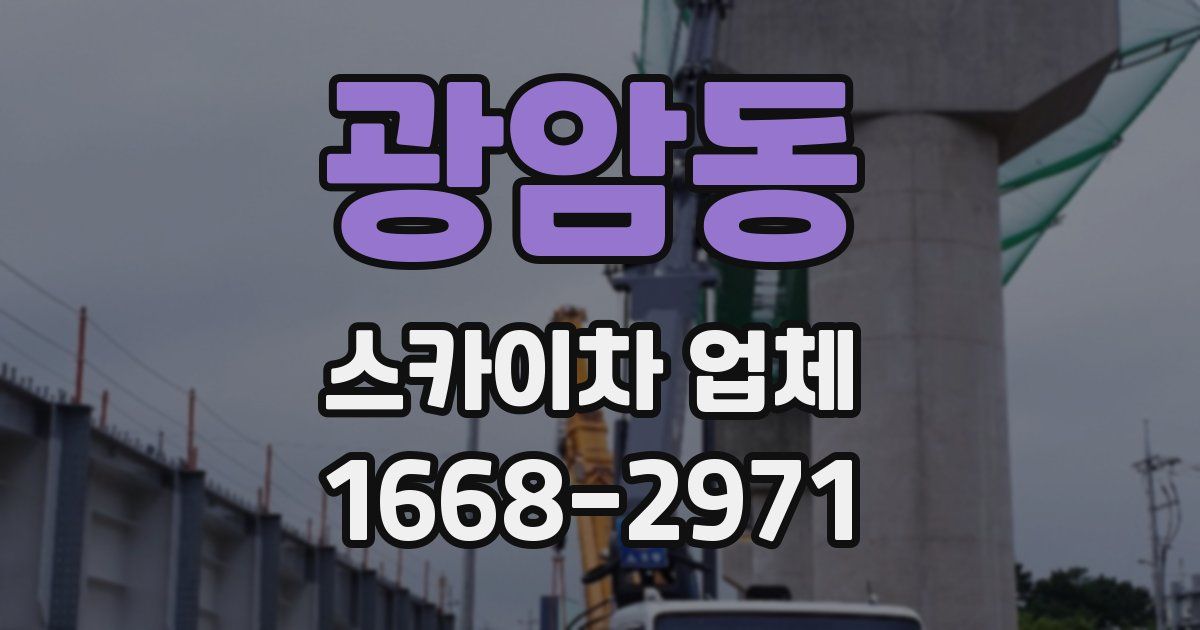 광암동 스카이차 업체