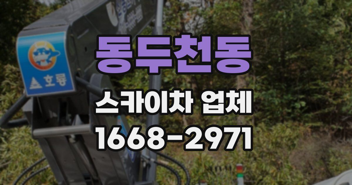 동두천동 스카이차 업체