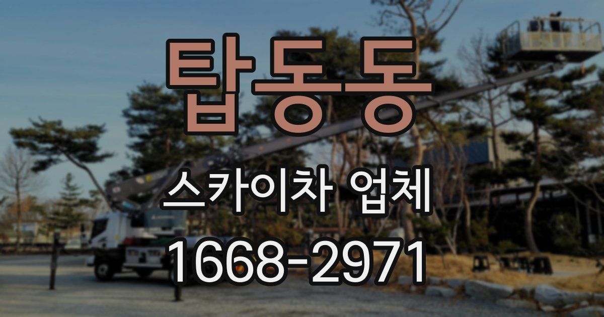 탑동동 스카이차 업체