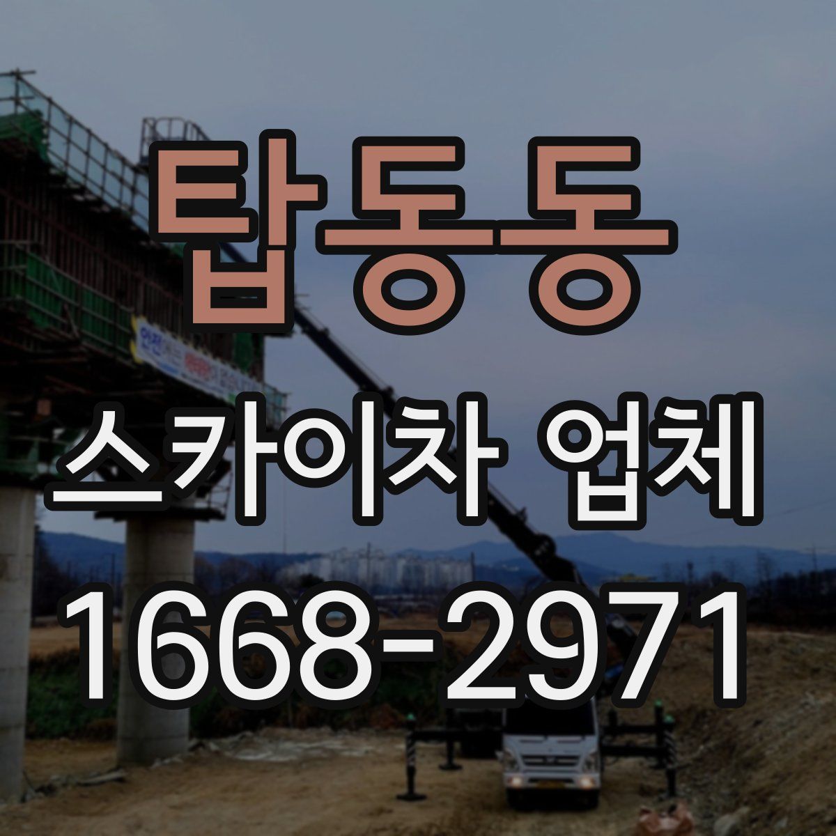 탑동동 스카이차 업체