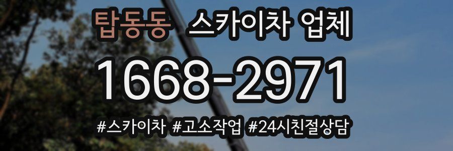 탑동동 스카이차 업체