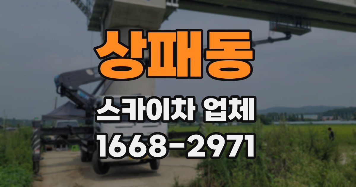 상패동 스카이차 업체