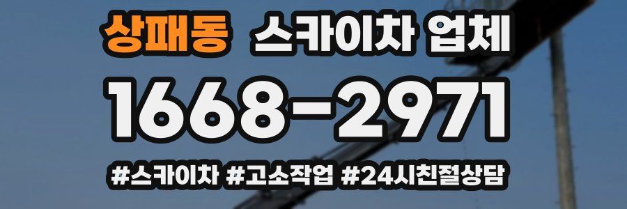 상패동 스카이차 업체