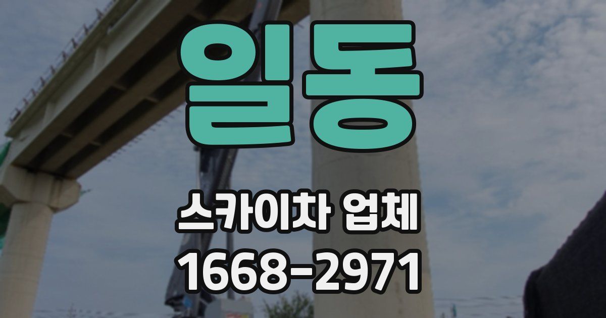 일동 스카이차 업체