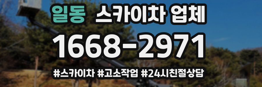 일동 스카이차 업체