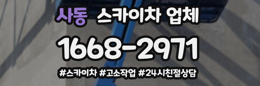사동 스카이차 업체