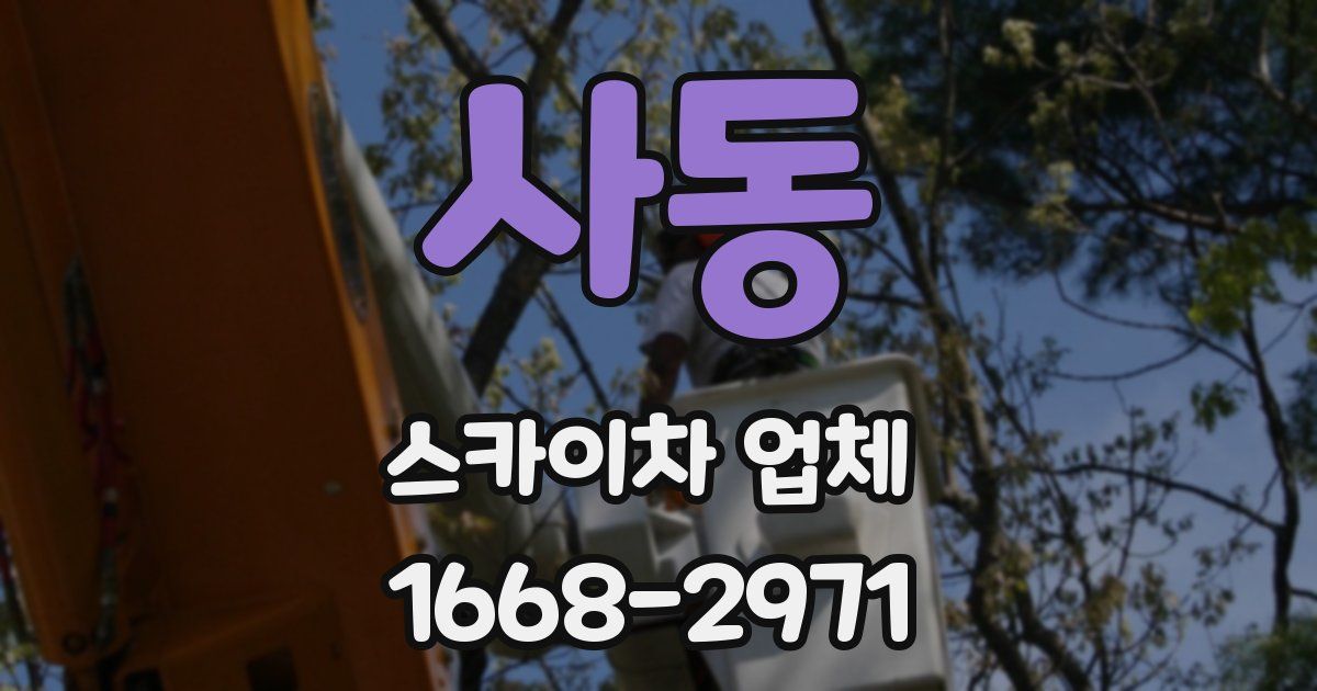 사동 스카이차 업체