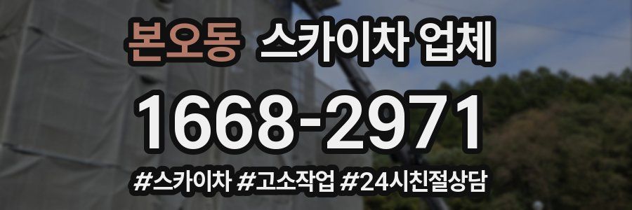 본오동 스카이차 업체