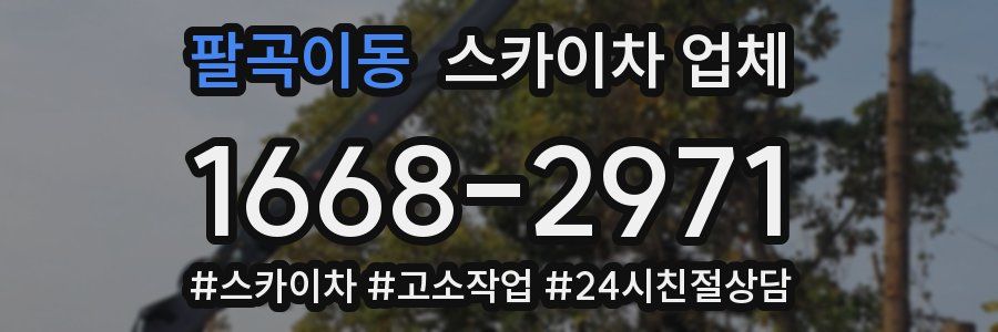 팔곡이동 스카이차 업체
