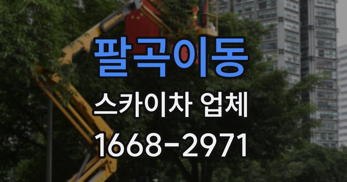 팔곡이동 스카이차 업체