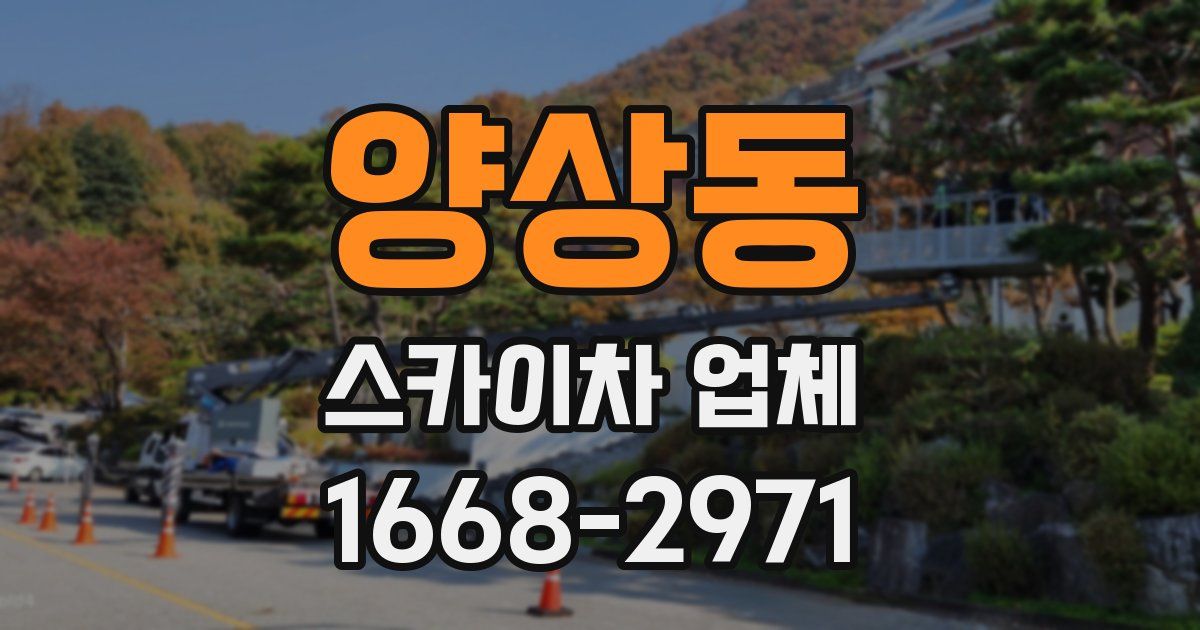 양상동 스카이차 업체