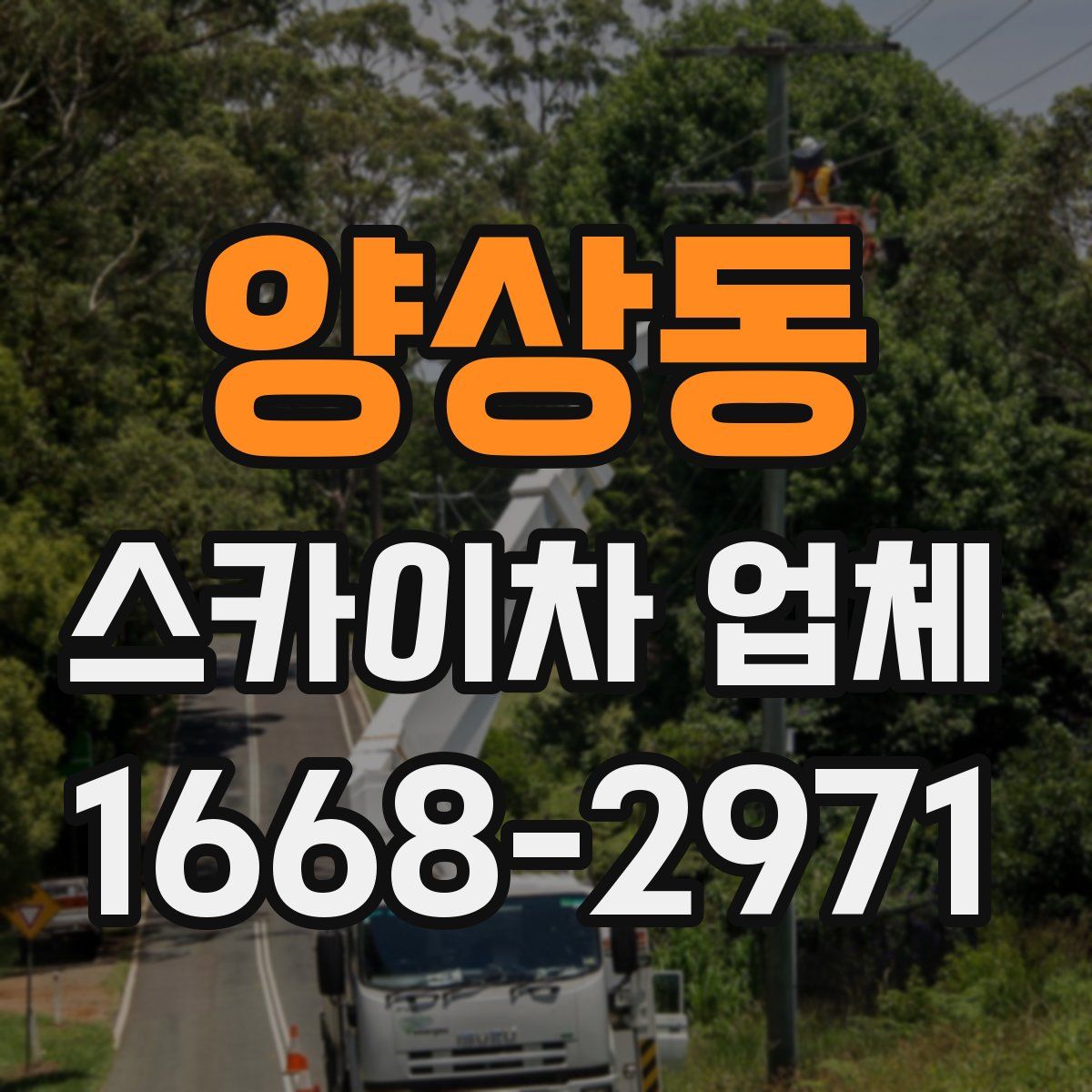 양상동 스카이차 업체