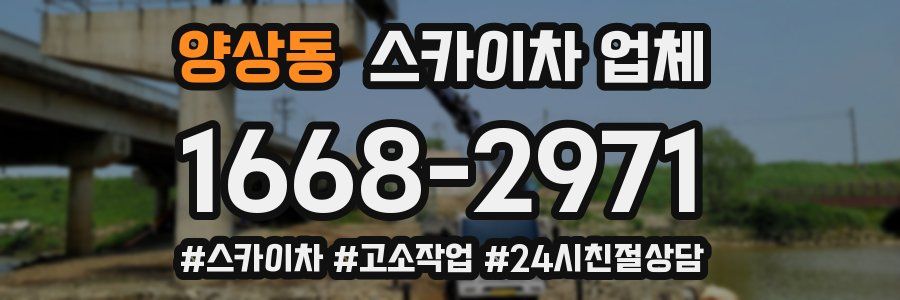 양상동 스카이차 업체
