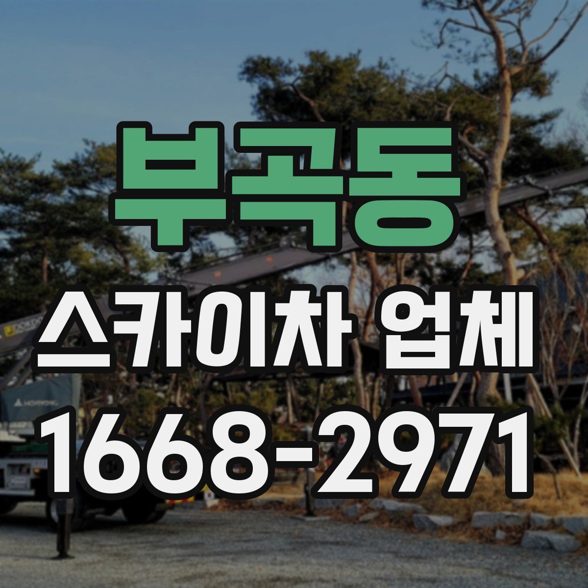 부곡동 스카이차 업체