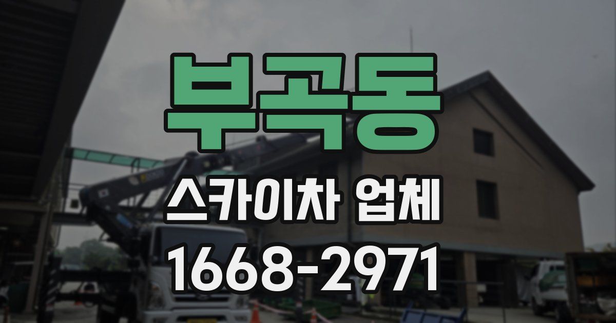 부곡동 스카이차 업체