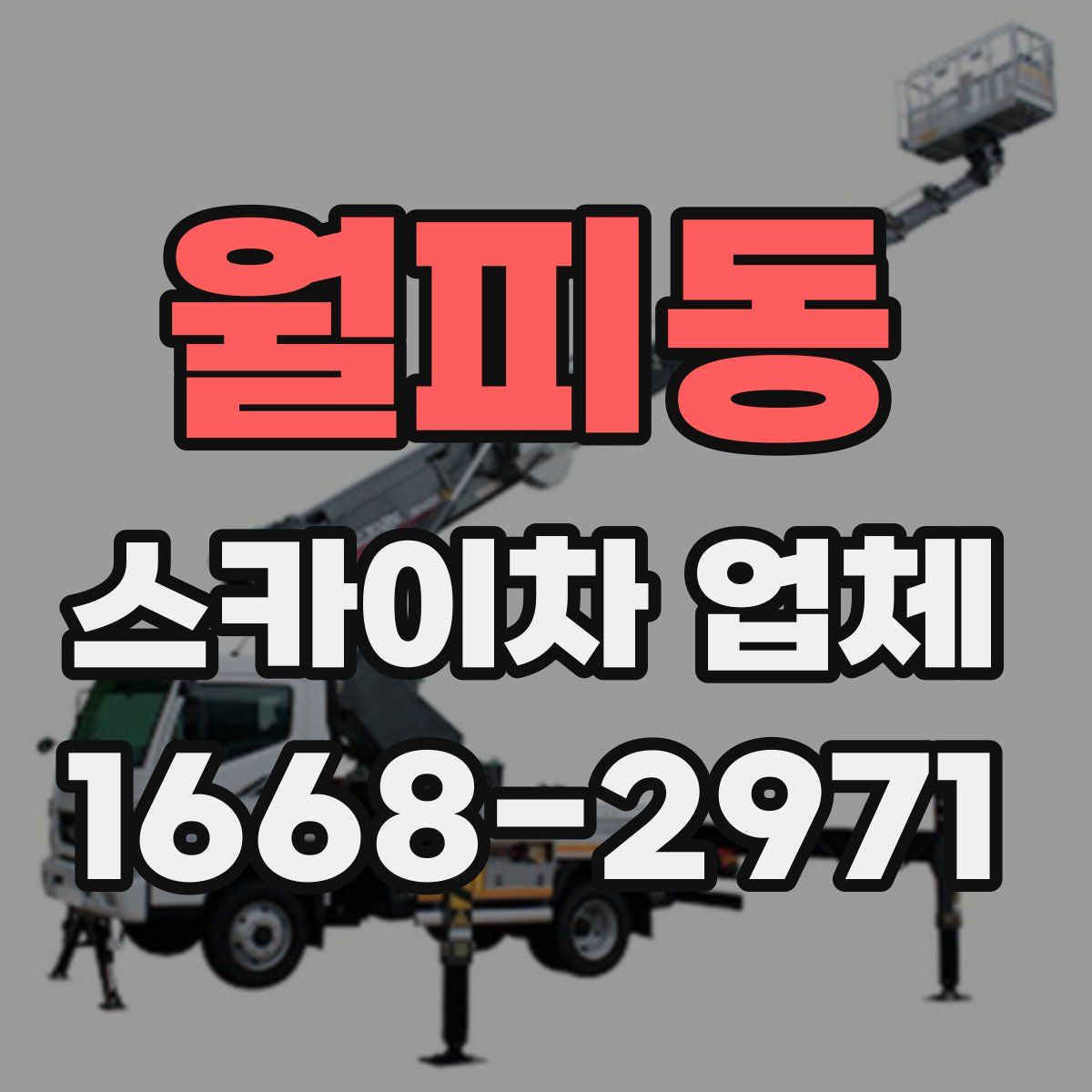 월피동 스카이차 업체