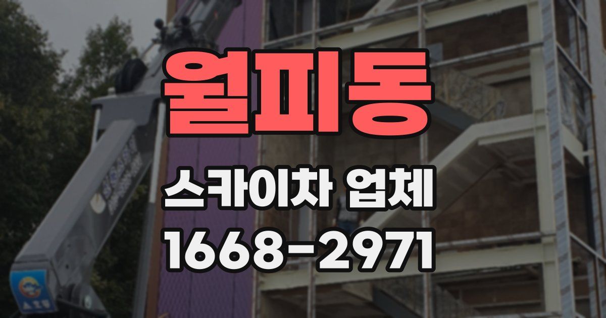 월피동 스카이차 업체