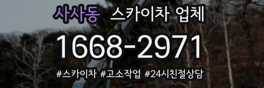 사사동 스카이차 업체