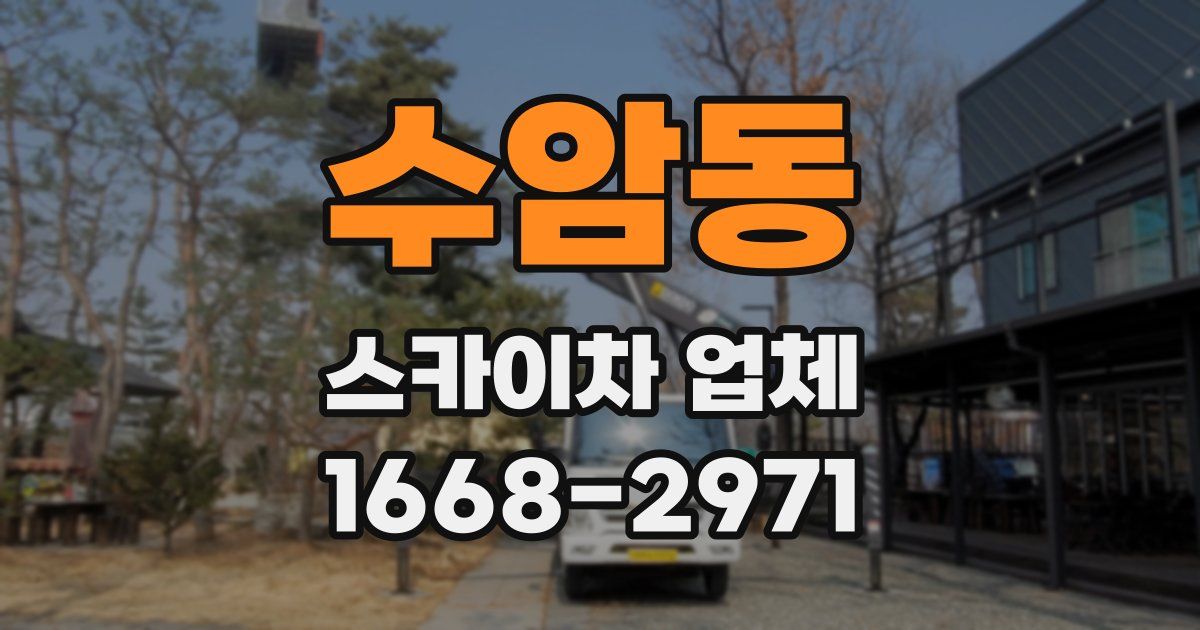 수암동 스카이차 업체