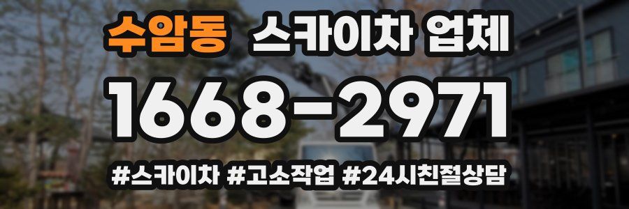 수암동 스카이차 업체