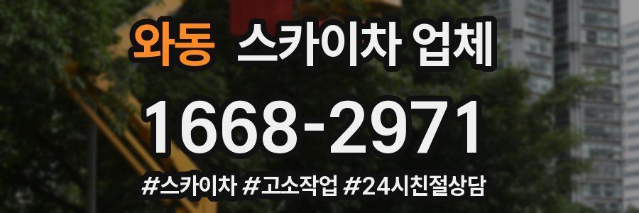 와동 스카이차 업체