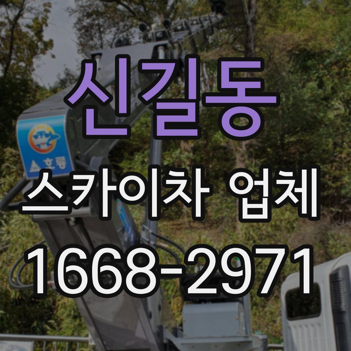 신길동 스카이차 업체