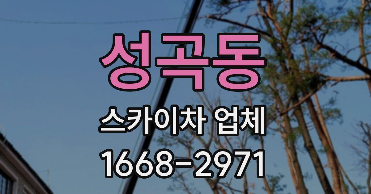 성곡동 스카이차 업체