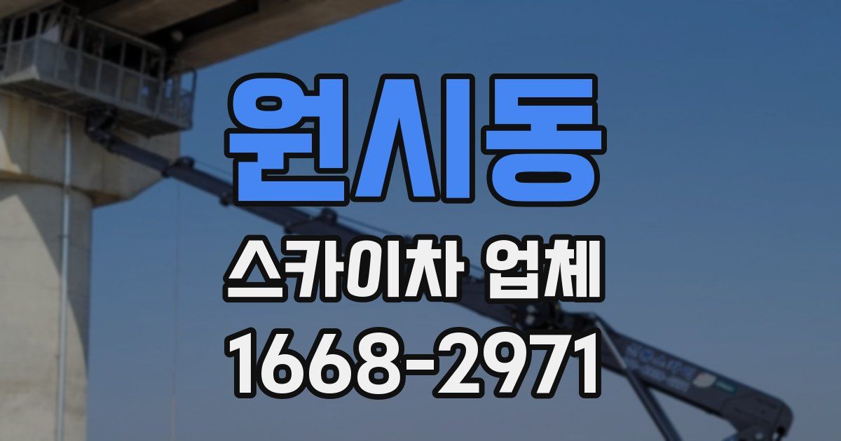 원시동 스카이차 업체