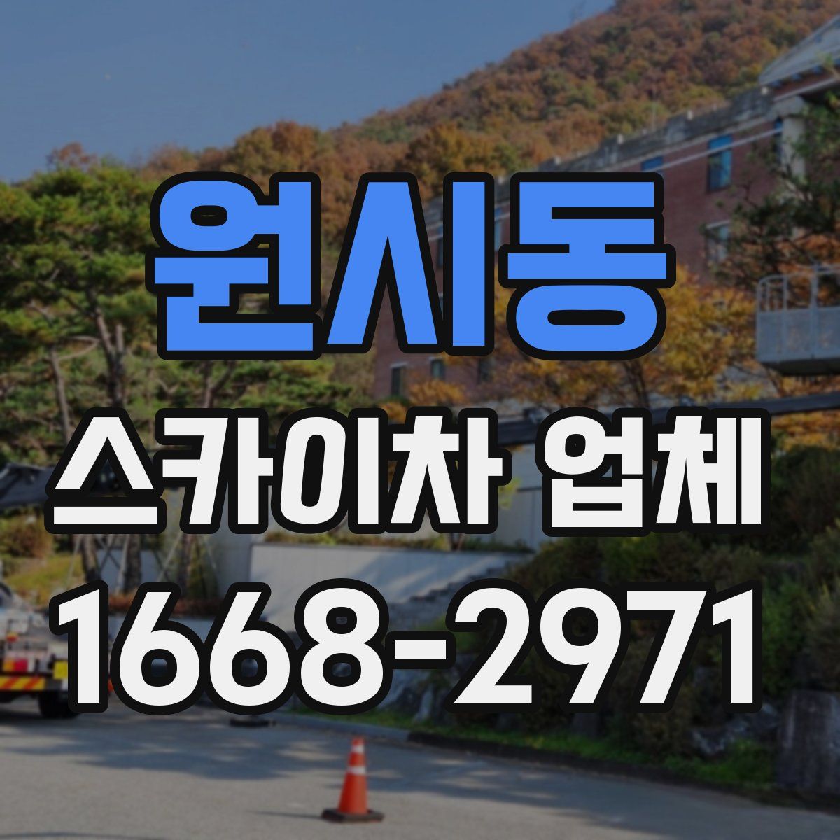 원시동 스카이차 업체