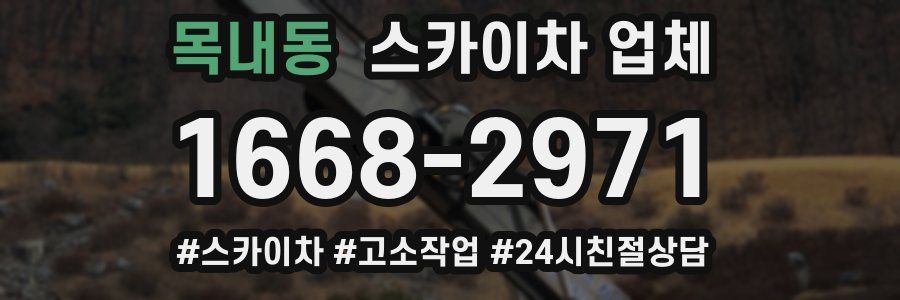 목내동 스카이차 업체