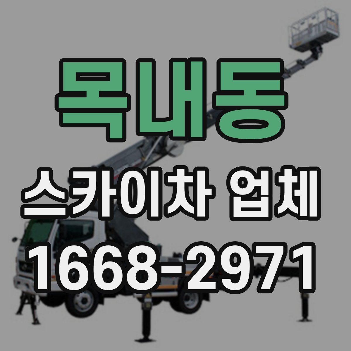 목내동 스카이차 업체