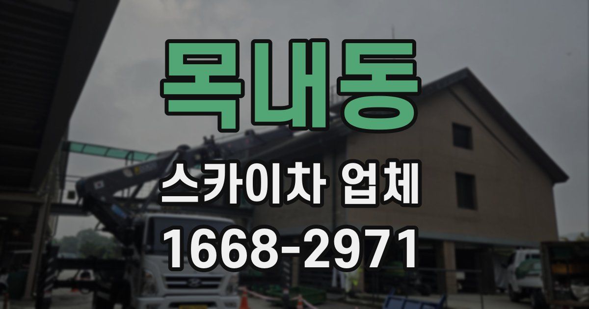 목내동 스카이차 업체