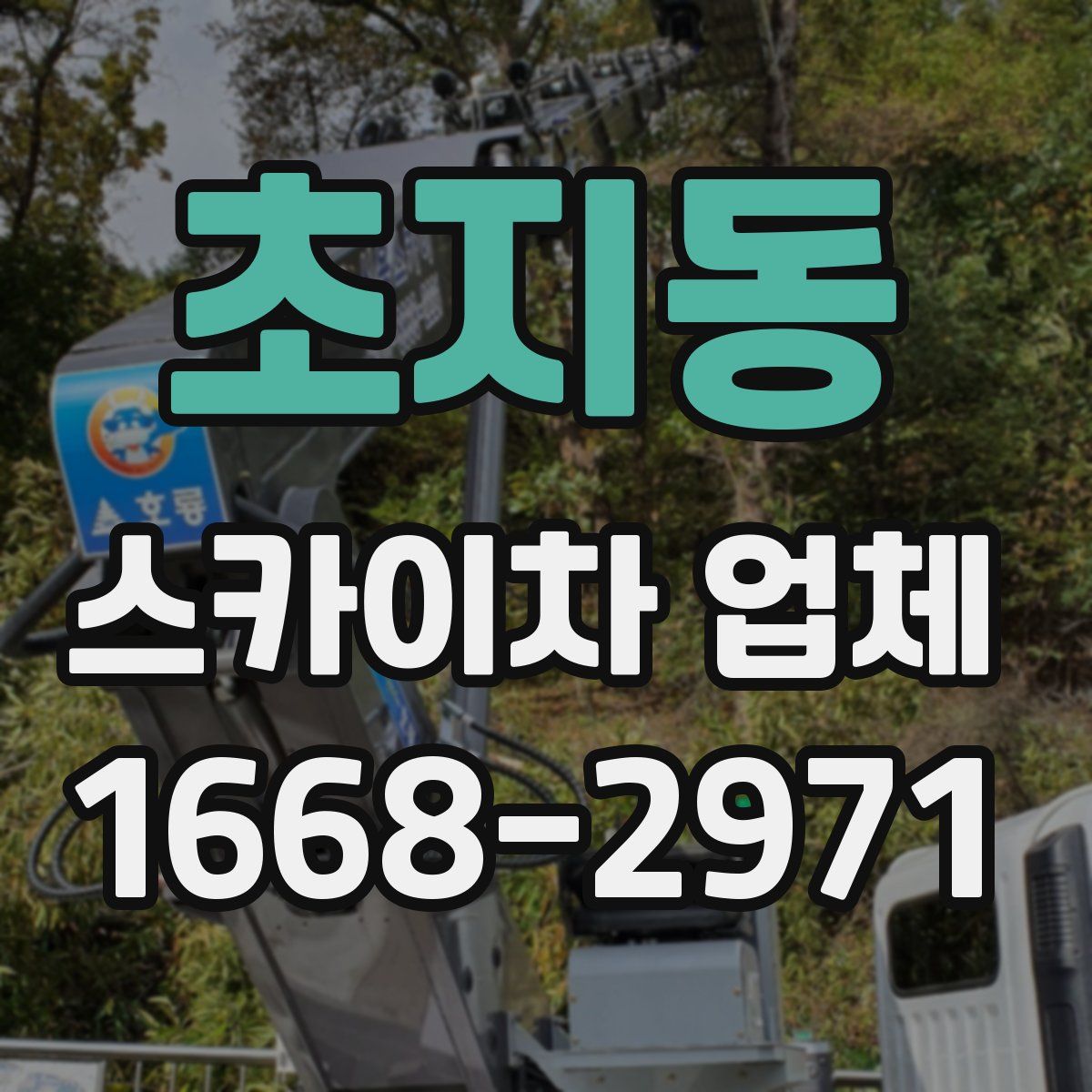 초지동 스카이차 업체