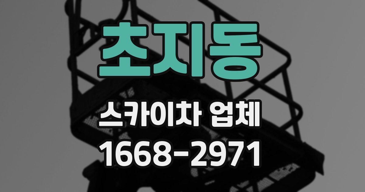 초지동 스카이차 업체