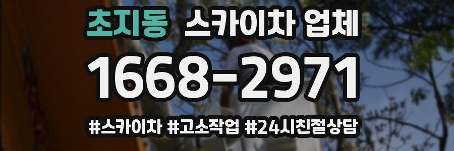 초지동 스카이차 업체