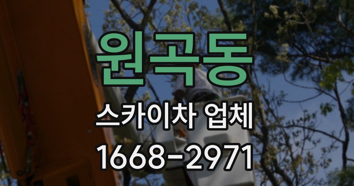 원곡동 스카이차 업체