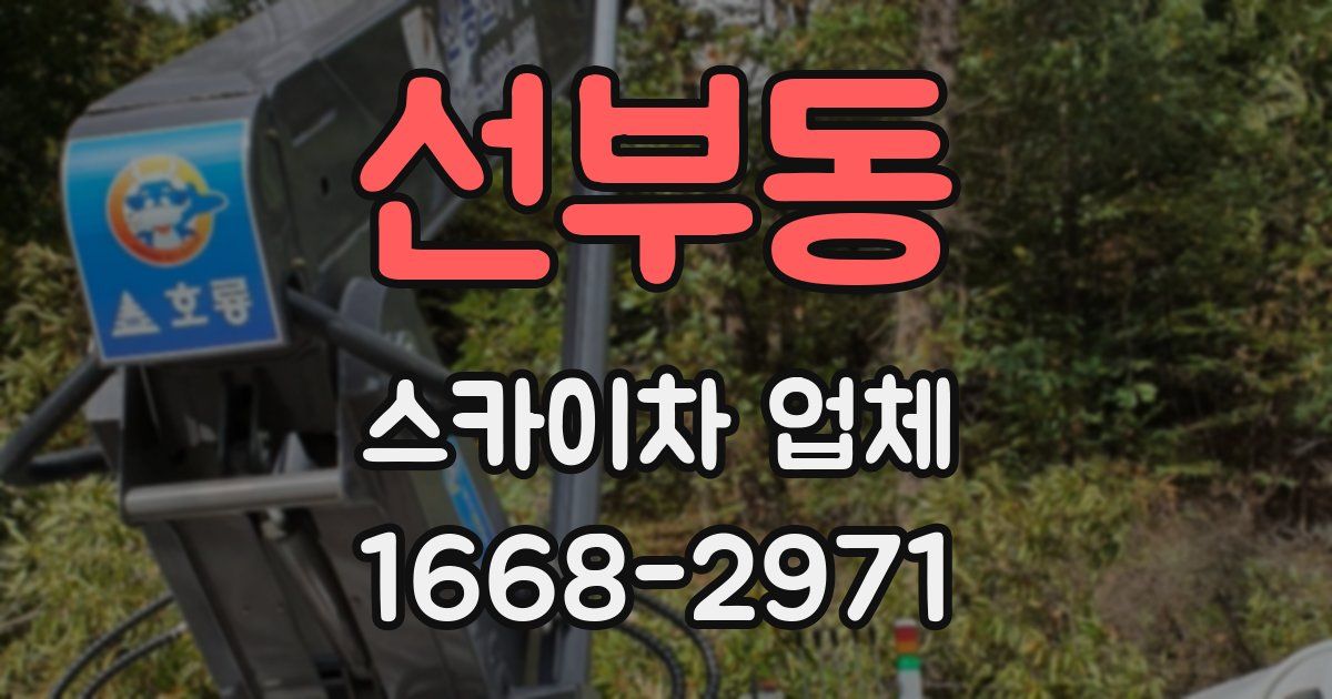 선부동 스카이차 업체
