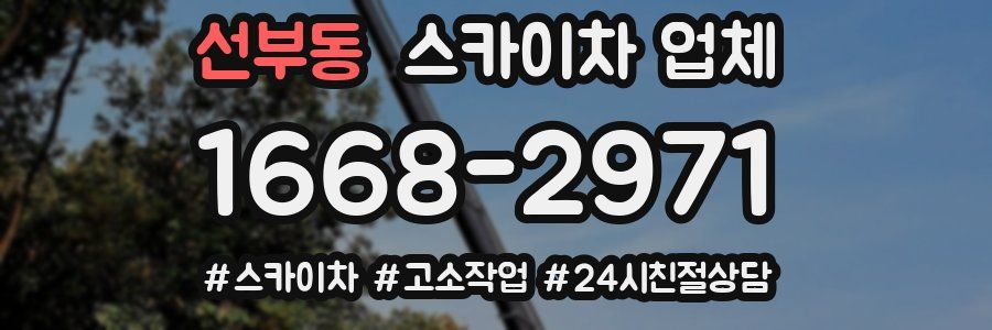 선부동 스카이차 업체