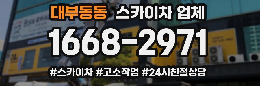 대부동동 스카이차 업체