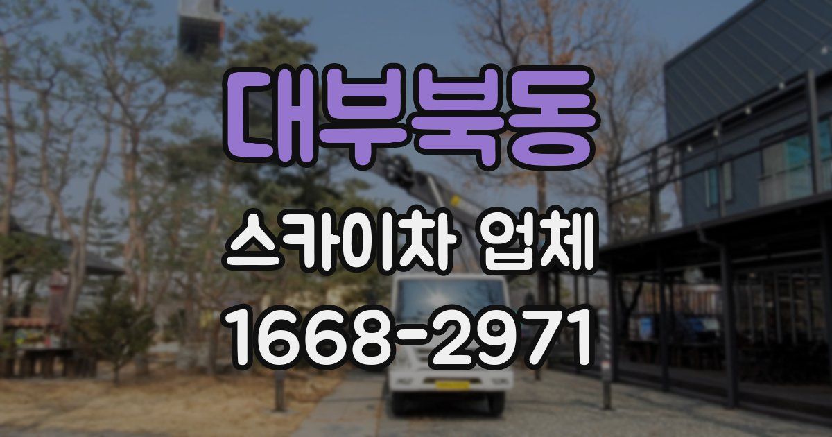 대부북동 스카이차 업체