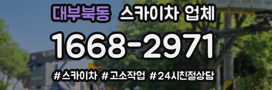 대부북동 스카이차 업체