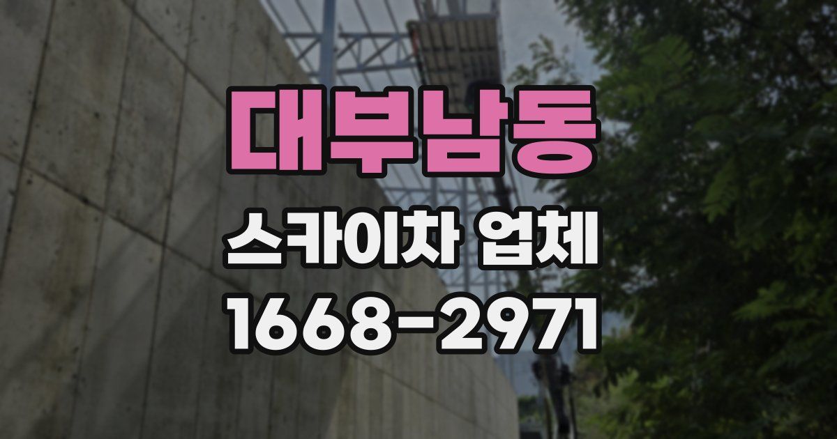 대부남동 스카이차 업체