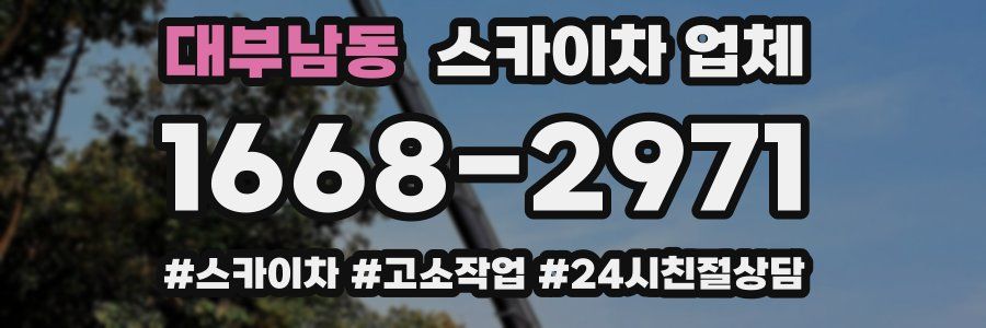 대부남동 스카이차 업체