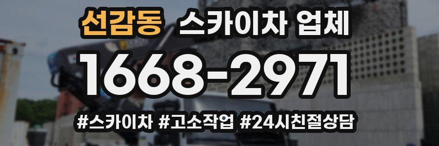 선감동 스카이차 업체