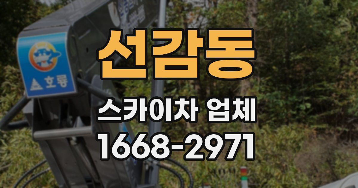 선감동 스카이차 업체