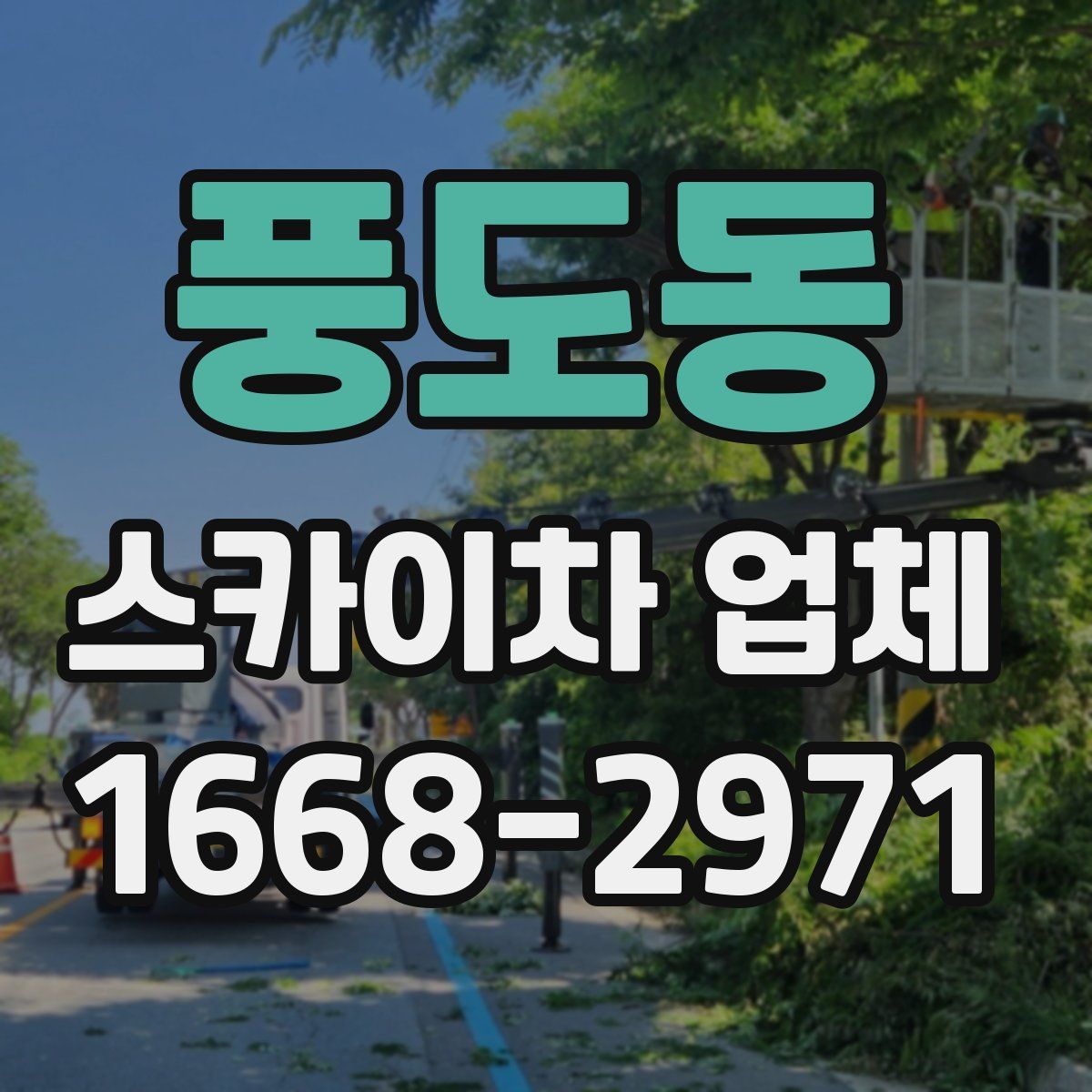 풍도동 스카이차 업체